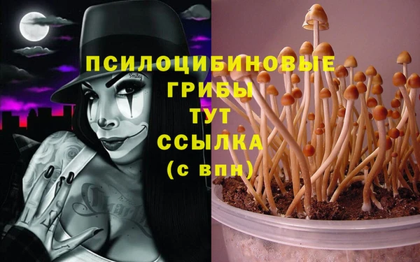 каннабис Горно-Алтайск